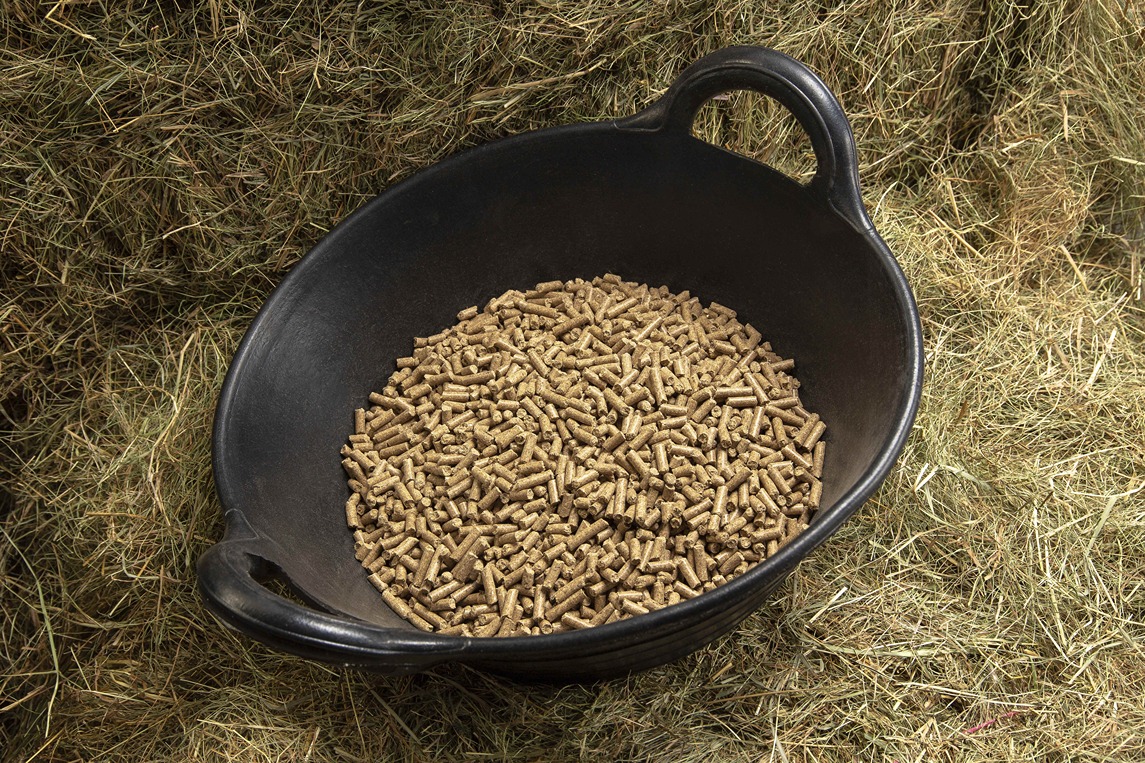 Digest+ Conditioning Cubes SPILLERS Feeds